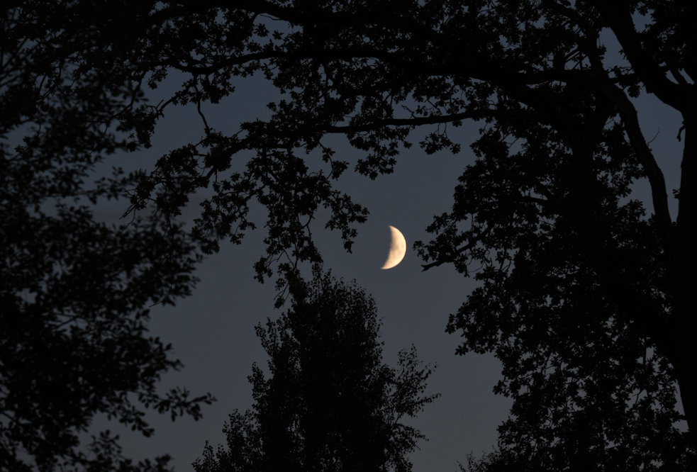 Poème &laquo;&nbsp;Voyageuse lunaire&nbsp;&raquo;